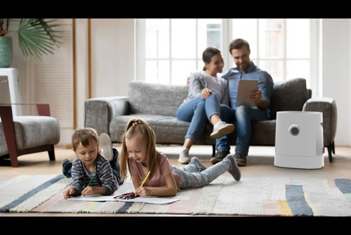 Boneco H320 Hybride Luchtwasser