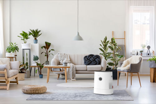 Boneco H320 Hybride Luchtwasser