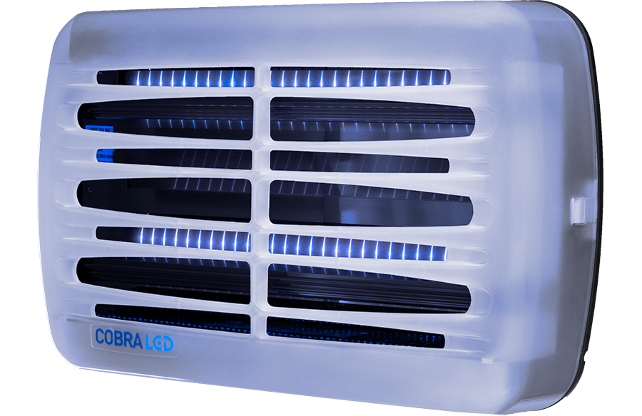 Brandenburg Genus Cobra Led